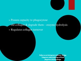 Possess capacity to phagocytose
old collagen & degrade them – enzyme hydrolysis
Regulates collagen turnover
Follow us on Instagram @dental_duniya
Telegram @dentalduniya official
playstore Dental duniya
 