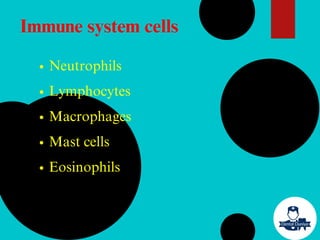 Neutrophils
Lymphocytes
Macrophages
Mast cells
Eosinophils
Immune system cells
 