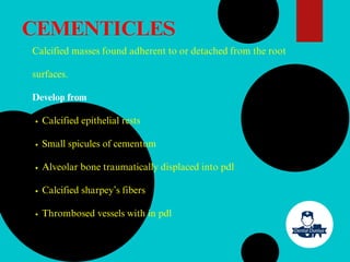 CEMENTICLES
Calcified masses found adherent to or detached from the root
surfaces.
Develop from
Calcified epithelial rests
Small spicules of cementum
Alveolar bone traumatically displaced into pdl
Calcified sharpey’s fibers
Thrombosed vessels with in pdl
 