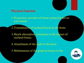 Physical Function
Protection- provide sof tissue casing for nerves
and vessels.
1.
Transmission of occlusal forces to the bone.
2.
Shock absorption: resistance to the impact of
occlusal forces.
3.
Attachment of the teeth to the bone.
4.
Maintenance of the gingival tissues in the
5.
 