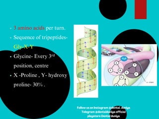 3 amino acids per turn.
Sequence of tripeptides-
Gly-X-Y
Glycine- Every 3ʳᵈ
position, centre
X -Proline , Y- hydroxy
proline- 30% .
Follow us on Instagram @dental_duniya
Telegram @dentalduniya official
playstore Dental duniya
 