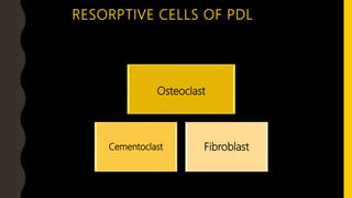 RESORPTIVE CELLS OF PDL
Osteoclast
Cementoclast Fibroblast
 