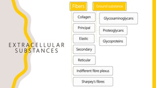 E X T R A C E L L U L A R
S U B S TA N C E S
Fibers
Collagen
Principal
Elastic
Secondary
Reticular
Indifferent fibre plexus
Sharpey's fibres
Ground substance
Glycosaminoglycans
Proteoglycans
Glycoproteins
 