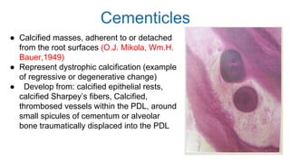 Periodontal ligament | PPTX