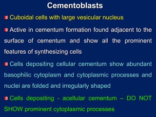 Periodontal Ligament.ppt