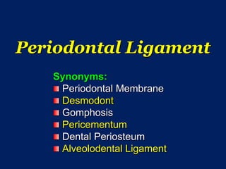 Periodontal Ligament
Synonyms:
Periodontal Membrane
Desmodont
Gomphosis
Pericementum
Dental Periosteum
Alveolodental Ligament
 