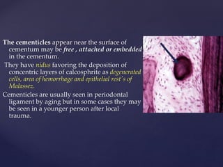 Periodontal ligament future | PPTX