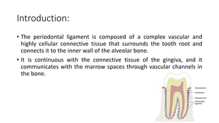 periodontal ligament lecture. .pdf