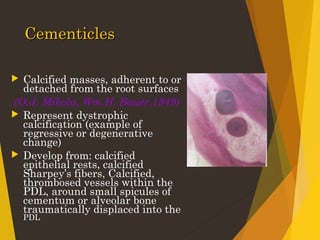 Periodontal ligaments | PPT