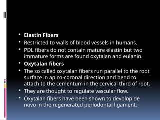 Parallel Fiber Run PERIODONTAL LIGAMENT a short seminar pptx | PPTX