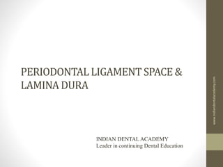 PERIODONTAL LIGAMENT SPACE &
LAMINA DURA
INDIAN DENTAL ACADEMY
Leader in continuing Dental Education
www.indiandentalacademy.com
 