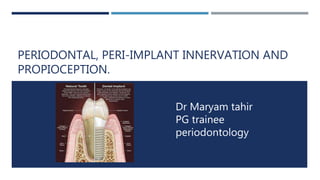 PERIODONTAL, PERI-IMPLANT INNERVATION AND
PROPIOCEPTION.
Dr Maryam tahir
PG trainee
periodontology
 