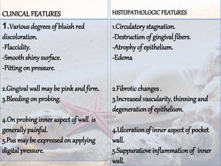 CLINICALFEATURES
1.Various degrees of bluish red
discoloration.
-Flaccidity.
-Smoothshiny surface.
-Pitting on pressure.
2.Gingival wall may be pink and firm.
3.Bleeding on probing.
4.Onprobing inner aspectof wall is
generallypainful.
5.Pus may be expressedon applying
digital pressure.
HISTOPATHOLOGICFEATURES
1.Circulatory stagnation.
-Destruction of gingival fibers.
-Atrophyof epithelium.
-Edema
2.Fibrotic changes .
3.Increasedvascularity, thinning and
degenerationof epithelium.
4.Ulcerationof inner aspect of pocket
wall.
5.Suppuratiove inflammation of inner
wall.
 
