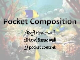 1)Soft tissue wall
2)Hard tissue wall
3) pocket content
 