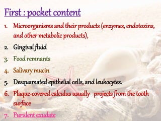 First : pocket content
1. Microorganisms and their products (enzymes, endotoxins,
and other metabolic products),
2. Gingival fluid
3. Food remnants
4. Salivary mucin
5. Desquamated epithelial cells, and leukocytes.
6. Plaque-coveredcalculus usually projects from the tooth
surface
7. Purulentexudate
 