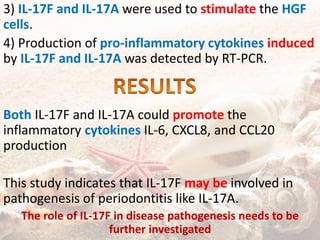 3) IL-17F and IL-17A were used to stimulate the HGF
cells.
4) Production of pro-inflammatory cytokines induced
by IL-17F and IL-17A was detected by RT-PCR.
Both IL-17F and IL-17A could promote the
inflammatory cytokines IL-6, CXCL8, and CCL20
production
This study indicates that IL-17F may be involved in
pathogenesis of periodontitis like IL-17A.
The role of IL-17F in disease pathogenesis needs to be
further investigated
 