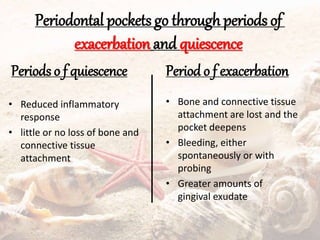 Periodontal pockets go through periods of
exacerbation and quiescence
Periods o f quiescence
• Reduced inflammatory
response
• little or no loss of bone and
connective tissue
attachment
Period o f exacerbation
• Bone and connective tissue
attachment are lost and the
pocket deepens
• Bleeding, either
spontaneously or with
probing
• Greater amounts of
gingival exudate
 