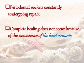 Periodontal pockets constantly
undergoing repair.
Complete healing does not occur because
of the persistence of thelocal irritants.
 