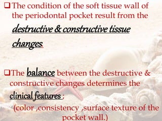 The condition of the soft tissue wall of
the periodontal pocket result from the
destructive& constructivetissue
changes.
The balance between the destructive &
constructive changes determines the
clinical features ;
(color ,consistency ,surface texture of the
pocket wall.)
 