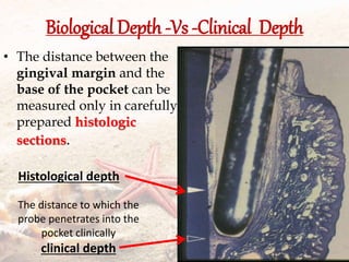 Biological Depth -Vs -Clinical Depth
• The distance between the
gingival margin and the
base of the pocket can be
measured only in carefully
prepared histologic
sections.
The distance to which the
probe penetrates into the
pocket clinically
clinical depth
Histological depth
 