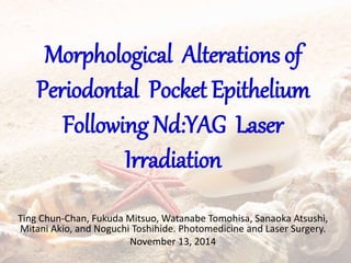 Morphological Alterations of
Periodontal Pocket Epithelium
Following Nd:YAG Laser
Irradiation
Ting Chun-Chan, Fukuda Mitsuo, Watanabe Tomohisa, Sanaoka Atsushi,
Mitani Akio, and Noguchi Toshihide. Photomedicine and Laser Surgery.
November 13, 2014
 