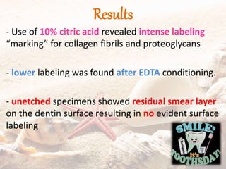 Results
- Use of 10% citric acid revealed intense labeling
“marking” for collagen fibrils and proteoglycans
- lower labeling was found after EDTA conditioning.
- unetched specimens showed residual smear layer
on the dentin surface resulting in no evident surface
labeling
 