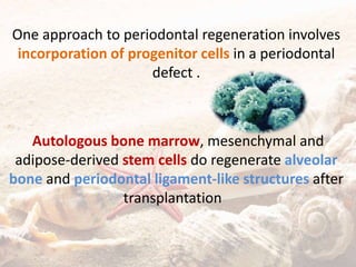 One approach to periodontal regeneration involves
incorporation of progenitor cells in a periodontal
defect .
Autologous bone marrow, mesenchymal and
adipose-derived stem cells do regenerate alveolar
bone and periodontal ligament-like structures after
transplantation
 