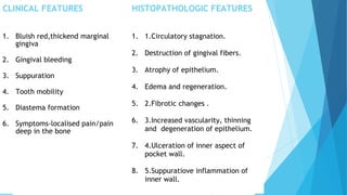 CLINICAL FEATURES HISTOPATHOLOGIC FEATURES
1. Bluish red,thickend marginal
gingiva
2. Gingival bleeding
3. Suppuration
4. Tooth mobility
5. Diastema formation
6. Symptoms-localised pain/pain
deep in the bone
1. 1.Circulatory stagnation.
2. Destruction of gingival fibers.
3. Atrophy of epithelium.
4. Edema and regeneration.
5. 2.Fibrotic changes .
6. 3.Increased vascularity, thinning
and degeneration of epithelium.
7. 4.Ulceration of inner aspect of
pocket wall.
8. 5.Suppuratiove inflammation of
inner wall.
 