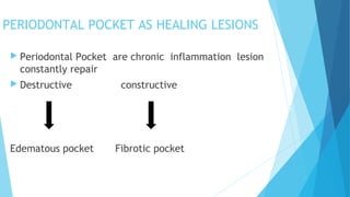 PERIODONTAL POCKET AS HEALING LESIONS
 Periodontal Pocket are chronic inflammation lesion
constantly repair
 Destructive constructive
Edematous pocket Fibrotic pocket
 