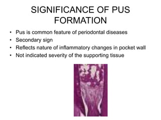 SIGNIFICANCE OF PUS
FORMATION
• Pus is common feature of periodontal diseases
• Secondary sign
• Reflects nature of inflammatory changes in pocket wall
• Not indicated severity of the supporting tissue
 