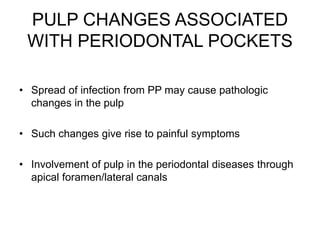 PULP CHANGES ASSOCIATED
WITH PERIODONTAL POCKETS
• Spread of infection from PP may cause pathologic
changes in the pulp
• Such changes give rise to painful symptoms
• Involvement of pulp in the periodontal diseases through
apical foramen/lateral canals
 