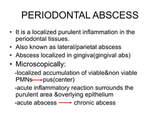 PERIODONTAL ABSCESS
• It is a localized purulent inflammation in the
periodontal tissues.
• Also known as lateral/parietal abscess
• Abscess localized in gingiva(gingival abs)
• Microscopically:
-localized accumulation of viable&non viable
PMNs pus(center)
-acute inflammatory reaction surrounds the
purulent area &overlying epithelium
-acute abscess chronic abcess
 