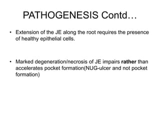 PATHOGENESIS Contd…
• Extension of the JE along the root requires the presence
of healthy epithelial cells.
• Marked degeneration/necrosis of JE impairs rather than
accelerates pocket formation(NUG-ulcer and not pocket
formation)
 