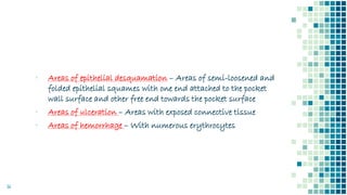 14
▪ Areas of epithelial desquamation – Areas of semi-loosened and
folded epithelial squames with one end attached to the pocket
wall surface and other free end towards the pocket surface
▪ Areas of ulceration – Areas with exposed connective tissue
▪ Areas of hemorrhage – With numerous erythrocytes
 