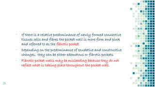 20
▪ If there is a relative predominance of newly formed connective
tissues cells and fibres the pocket wall is more firm and pink
and referred to as the fibrotic pocket
▪ Depending on the predominance of exudative and constructive
changes, they can be either edematous or fibrotic pockets
▪ Fibrotic pocket walls may be misleading because they do not
reflect what is taking place throughout the pocket wall.
 