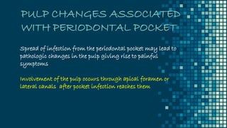 PULP CHANGES ASSOCIATED
WITH PERIODONTAL POCKET
Spread of infection from the periodontal pocket may lead to
pathologic changes in the pulp giving rise to painful
symptoms
Involvement of the pulp occurs through apical foramen or
lateral canals after pocket infection reaches them
 