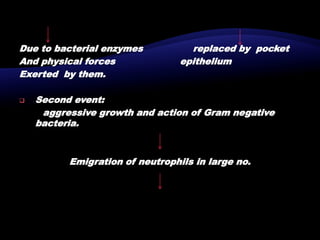 Due to bacterial enzymes replaced by pocket
And physical forces epithelium
Exerted by them.
 Second event:
aggressive growth and action of Gram negative
bacteria.
Emigration of neutrophils in large no.
 
