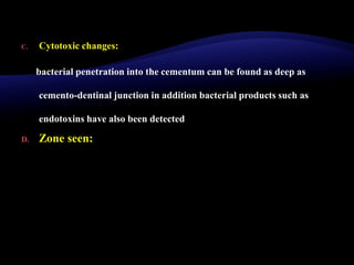 C. Cytotoxic changes:
bacterial penetration into the cementum can be found as deep as
cemento-dentinal junction in addition bacterial products such as
endotoxins have also been detected
D. Zone seen:
 