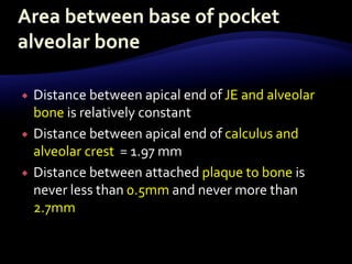  Distance between apical end of JE and alveolar
bone is relatively constant
 Distance between apical end of calculus and
alveolar crest = 1.97 mm
 Distance between attached plaque to bone is
never less than 0.5mm and never more than
2.7mm
 