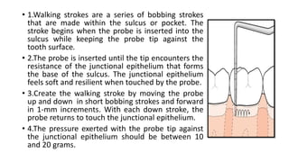 • 1.Walking strokes are a series of bobbing strokes
that are made within the sulcus or pocket. The
stroke begins when the probe is inserted into the
sulcus while keeping the probe tip against the
tooth surface.
• 2.The probe is inserted until the tip encounters the
resistance of the junctional epithelium that forms
the base of the sulcus. The junctional epithelium
feels soft and resilient when touched by the probe.
• 3.Create the walking stroke by moving the probe
up and down in short bobbing strokes and forward
in 1-mm increments. With each down stroke, the
probe returns to touch the junctional epithelium.
• 4.The pressure exerted with the probe tip against
the junctional epithelium should be between 10
and 20 grams.
 