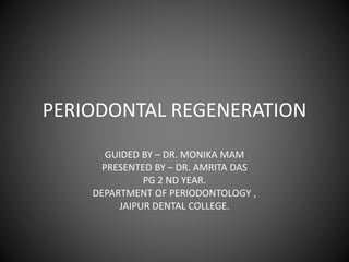 PERIODONTAL REGENERATION
GUIDED BY – DR. MONIKA MAM
PRESENTED BY – DR. AMRITA DAS
PG 2 ND YEAR.
DEPARTMENT OF PERIODONTOLOGY ,
JAIPUR DENTAL COLLEGE.
 
