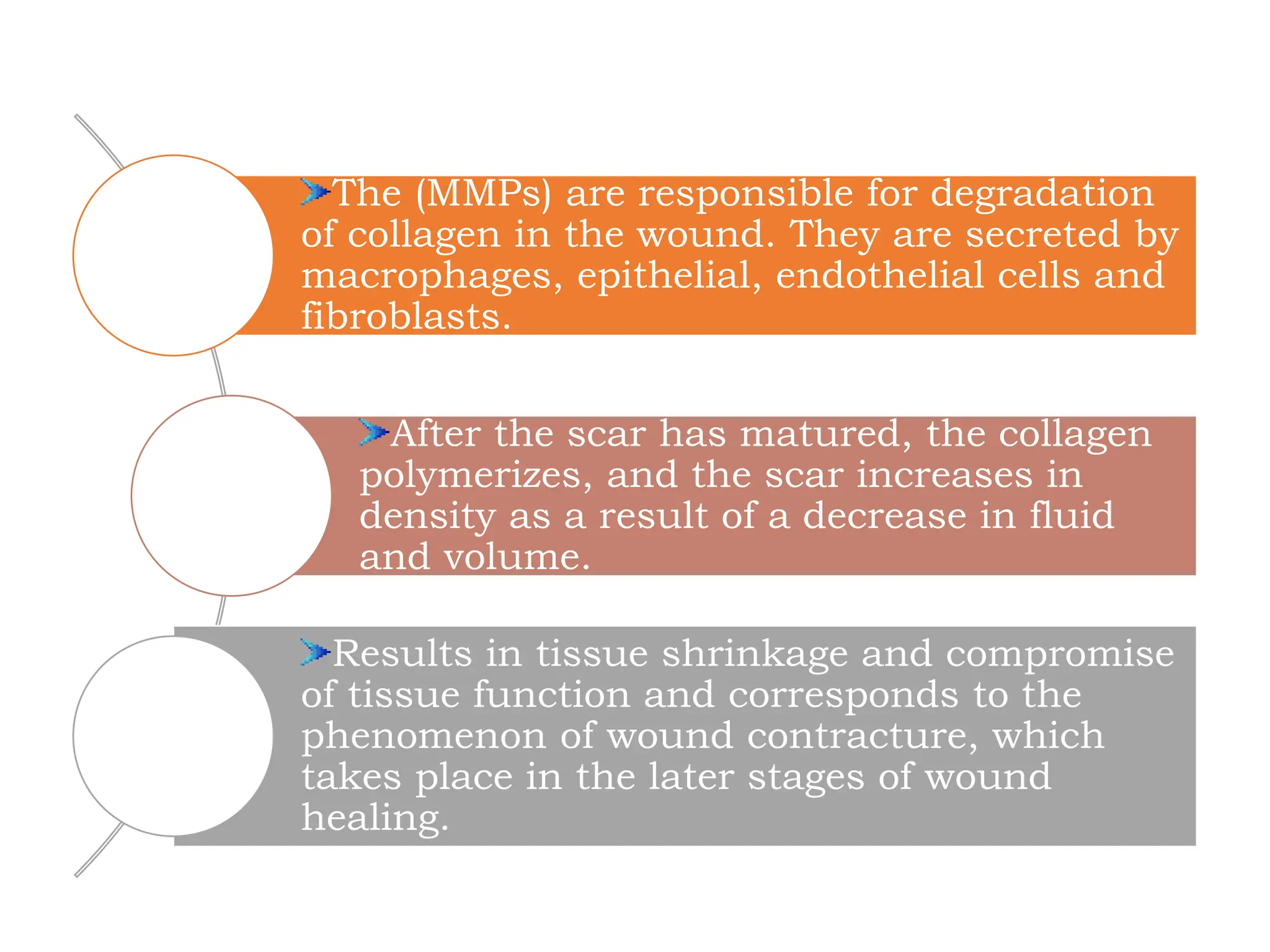 PERIODONTAL WOUND HEALING [Autosaved].pptx