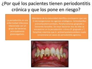 ¿Por qué los pacientes tienen periodontitis
crónica y que los pone en riesgo?
La periodontitis es una
enfermedad infecciosa
relacionada con un
grupo de bacterias
principalmente
gramnegativos.
Miembros de la comunidad científica concluyeron que son
3 microorganismos los agentes etiológicos: Actinobacillus
actinomycetemcomitans, Porphyromonas gingivalis y
Tannerela forsythia. De estas bacterias dos de ellas se
encuentran en la periodontitis crónica (P. gingivalis y T.
forsythia) mientras que A. actinomycetemcomitans suele
encontrarse en casos de periodontitis agresiva.
 