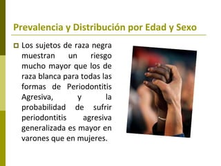 Prevalencia y Distribución por Edad y Sexo
   Los sujetos de raza negra
    muestran      un     riesgo
    mucho mayor que los de
    raza blanca para todas las
    formas de Periodontitis
    Agresiva,        y        la
    probabilidad de sufrir
    periodontitis      agresiva
    generalizada es mayor en
    varones que en mujeres.
 