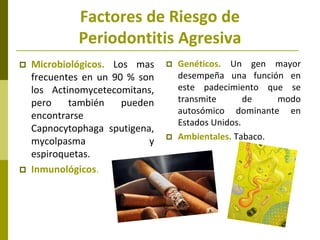 Factores de Riesgo de
             Periodontitis Agresiva
   Microbiológicos. Los mas       Genéticos. Un gen mayor
    frecuentes en un 90 % son       desempeña una función en
    los Actinomycetecomitans,       este padecimiento que se
    pero    también    pueden       transmite       de   modo
                                    autosómico dominante en
    encontrarse
                                    Estados Unidos.
    Capnocytophaga sputigena,
    mycolpasma              y      Ambientales. Tabaco.
    espiroquetas.
   Inmunológicos.
 