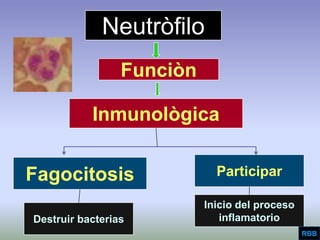 Aggressive Periodontitis