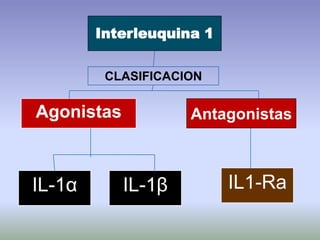 Aggressive Periodontitis