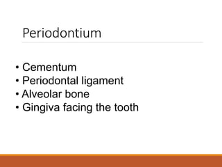 Periodontium
• Cementum
• Periodontal ligament
• Alveolar bone
• Gingiva facing the tooth
 