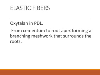 ELASTIC FIBERS
Oxytalan in PDL.
From cementum to root apex forming a
branching meshwork that surrounds the
roots.
 