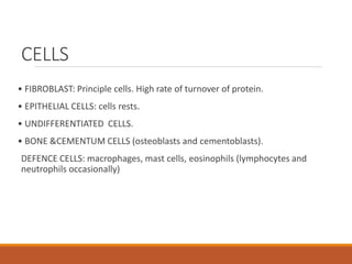 CELLS
• FIBROBLAST: Principle cells. High rate of turnover of protein.
• EPITHELIAL CELLS: cells rests.
• UNDIFFERENTIATED CELLS.
• BONE &CEMENTUM CELLS (osteoblasts and cementoblasts).
DEFENCE CELLS: macrophages, mast cells, eosinophils (lymphocytes and
neutrophils occasionally)
 